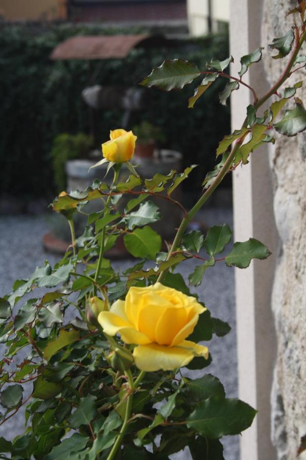 Bed and Breakfast Cascina San Martino Passirano Exterior foto
