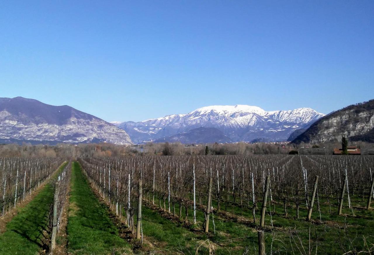 Bed and Breakfast Cascina San Martino Passirano Exterior foto